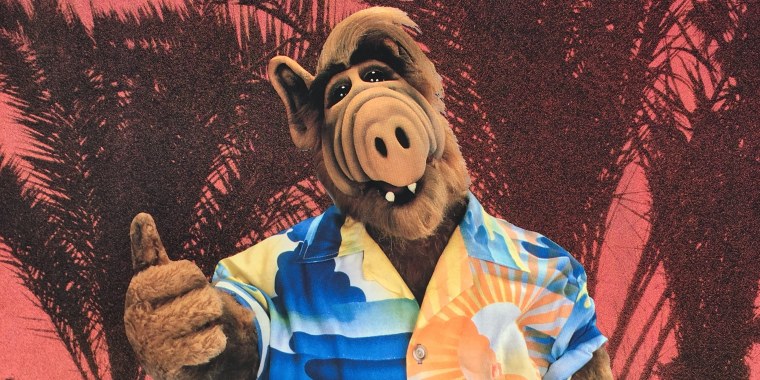 Гордон Шамуэй