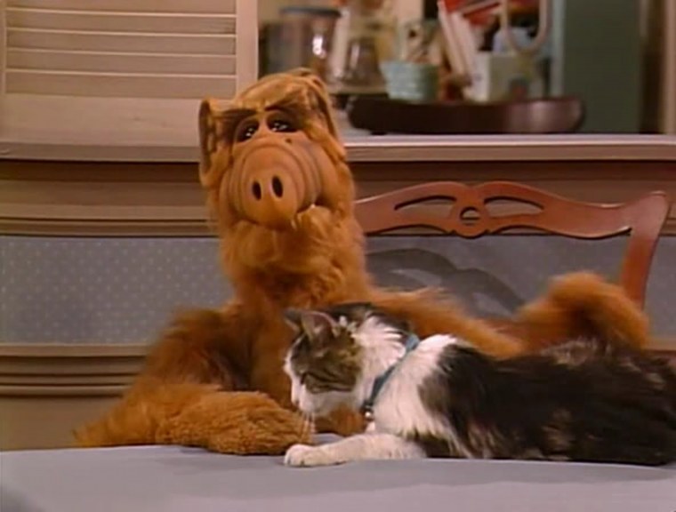 Гордон Шамуэй