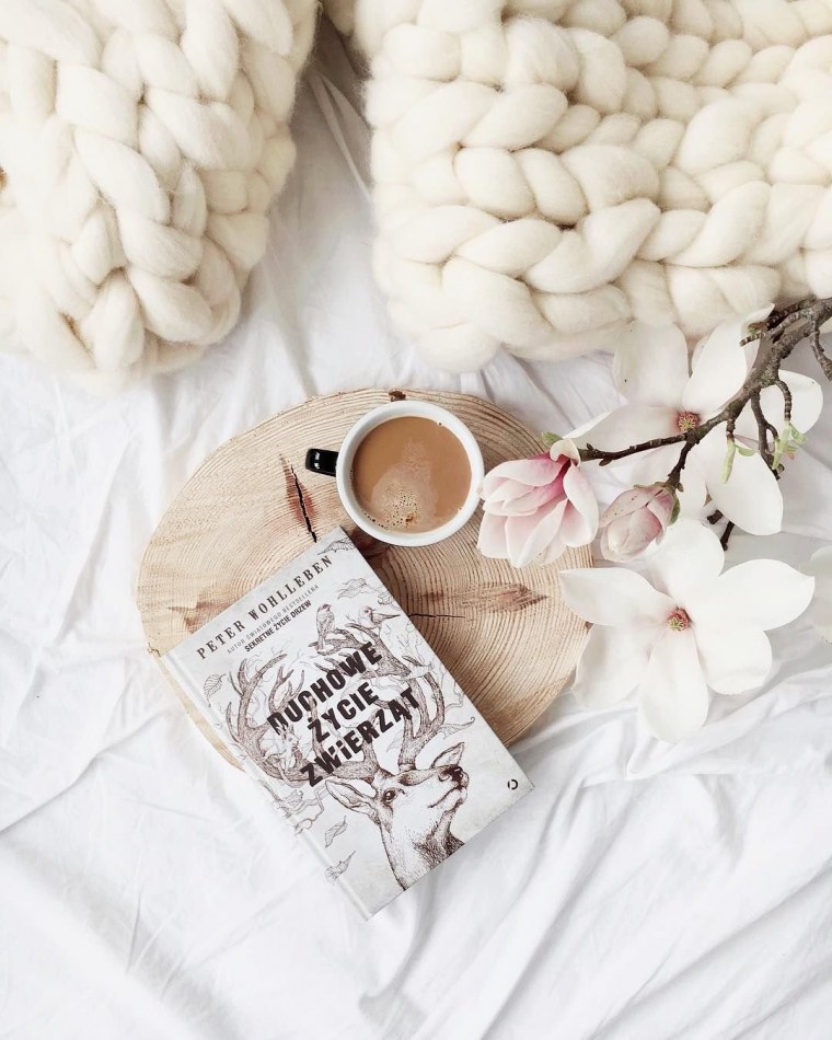 Эстетика белого