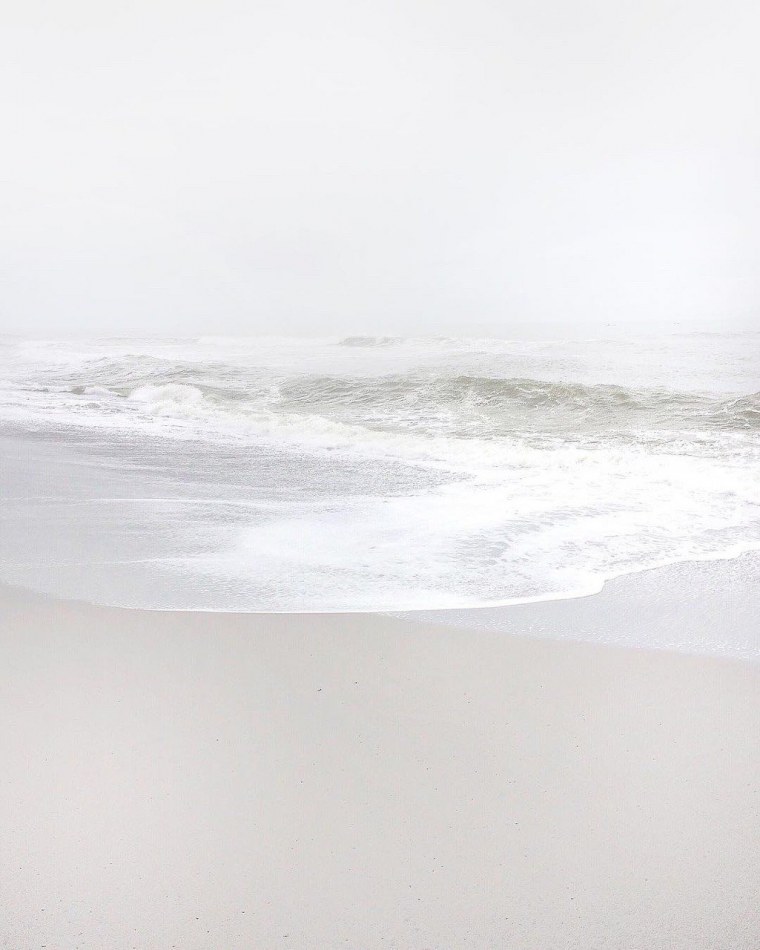 Цветы Минимализм