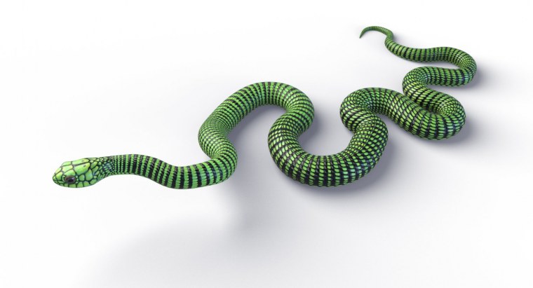 Змея 3д модель