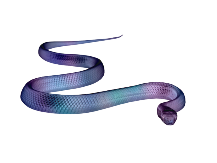 Красивые змеи