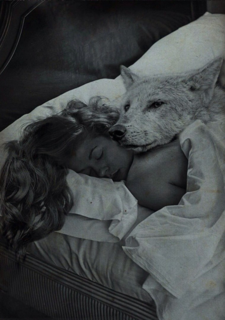 В объятиях волка