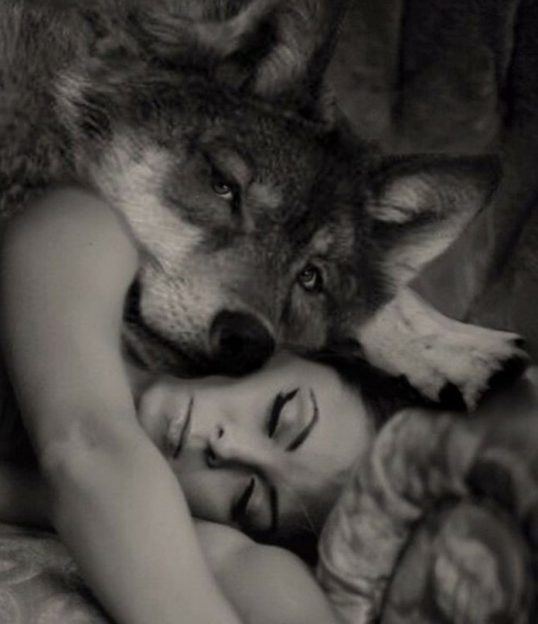 Волк обнимает девушку