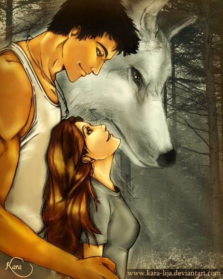 Джейкоб Сумерки арт