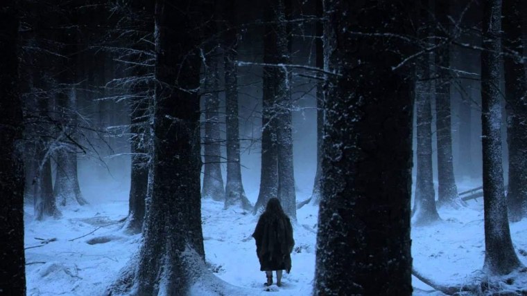 Мрачный зимний лес