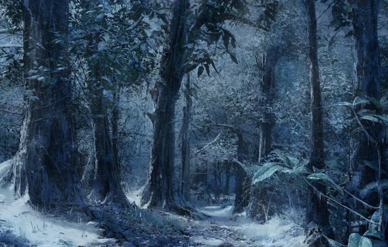 Дремучий заснеженный лес