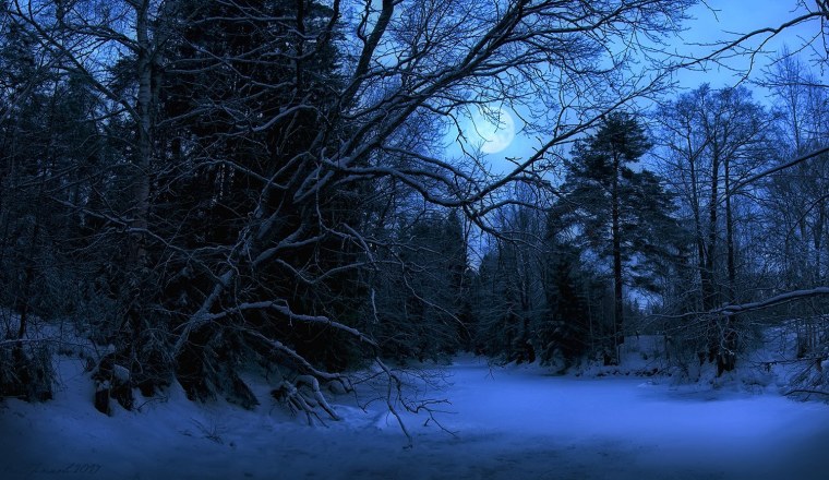 Страшный зимний лес