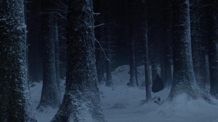 Мрачный зимний лес