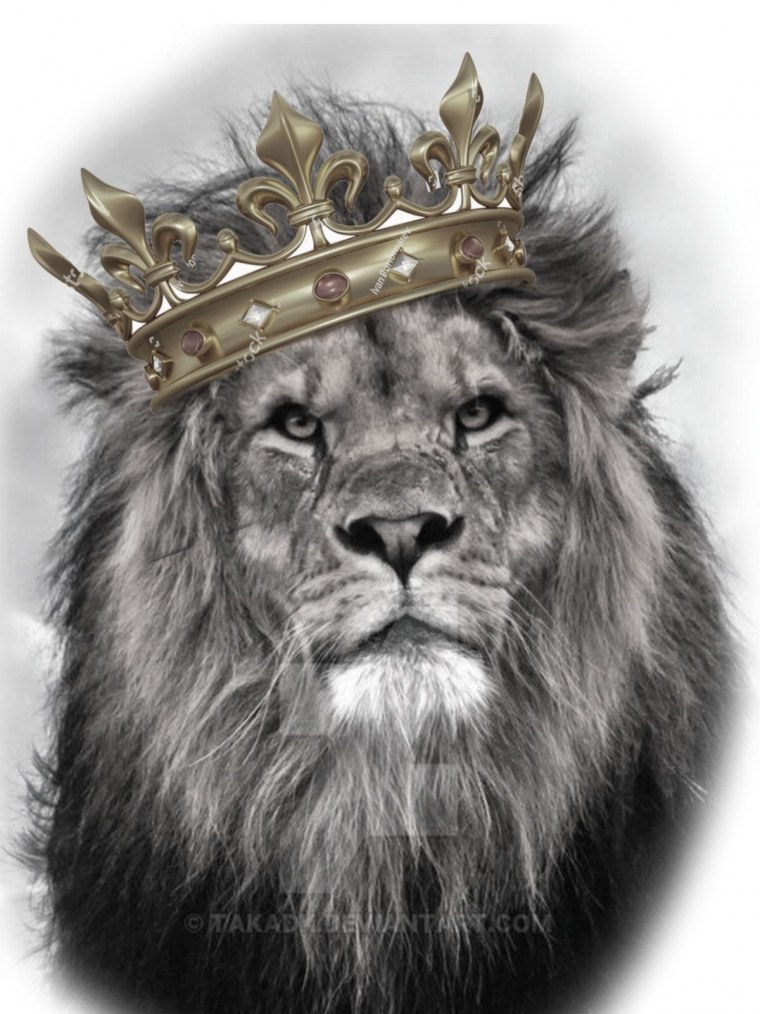 Lion +Crown illustration