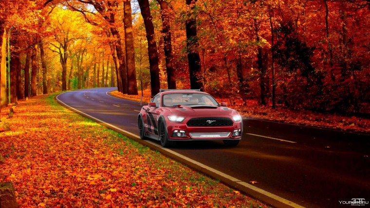 В Лексусе осенью