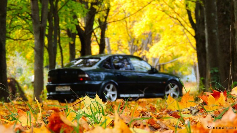 Mitsubishi Lancer Evolution x осень