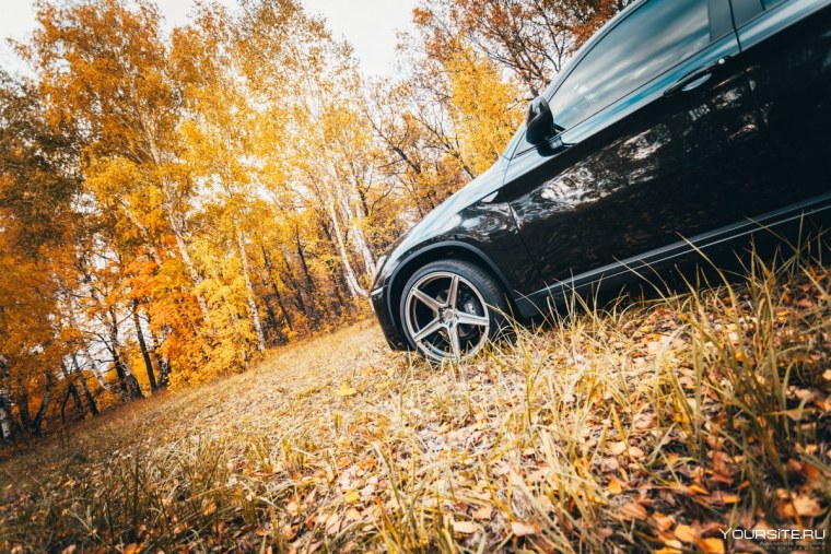 Nissan Skyline r34 природа