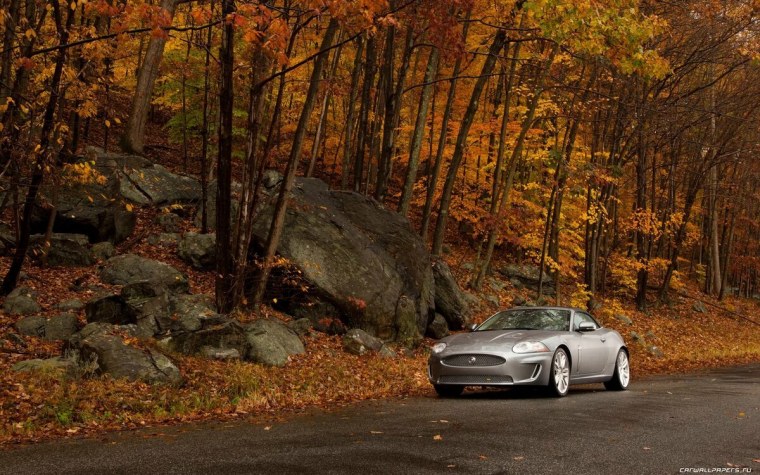 Дорога в осень