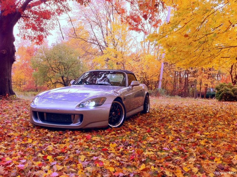 Автомобиль в осеннем лесу