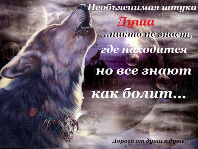 Ночные волки