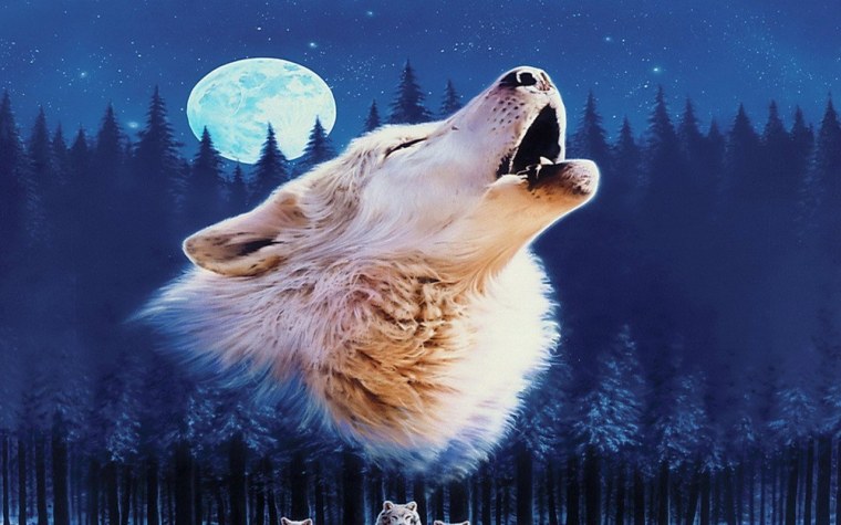 Воющий волк