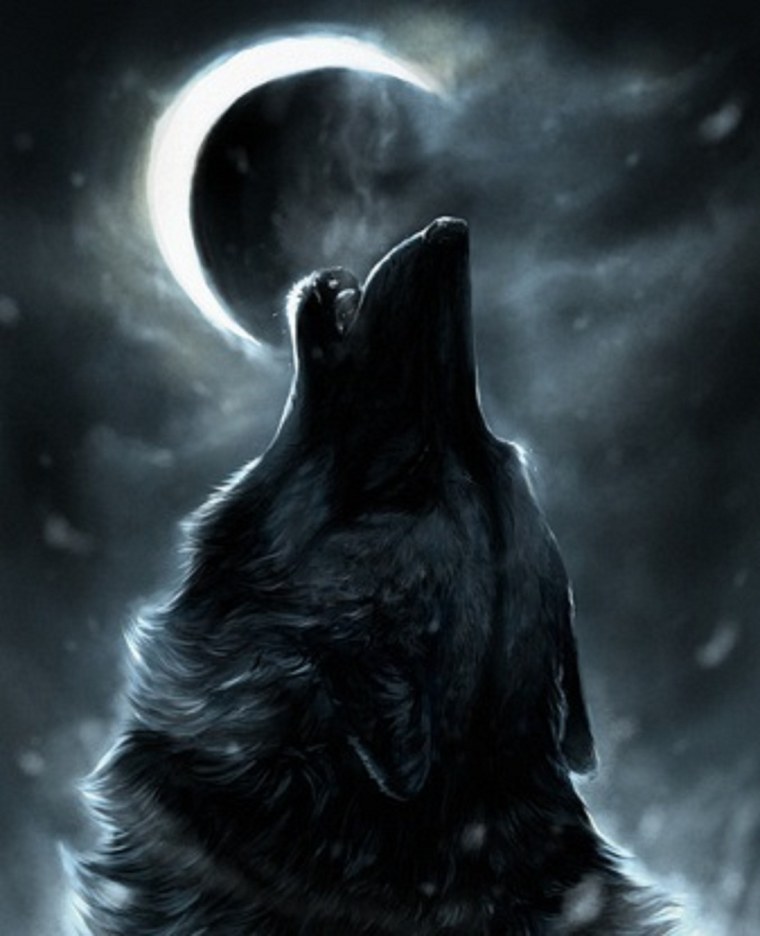 Волк и Луна