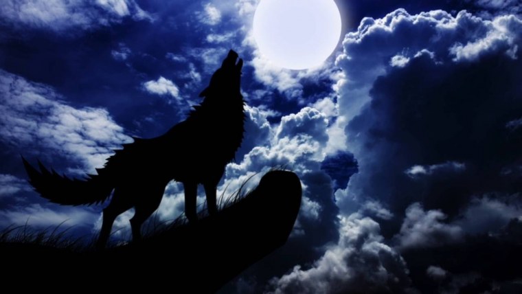 Волк ночь Луна