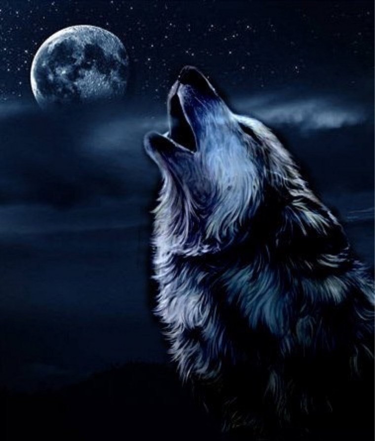 Одинокий волк воет на луну