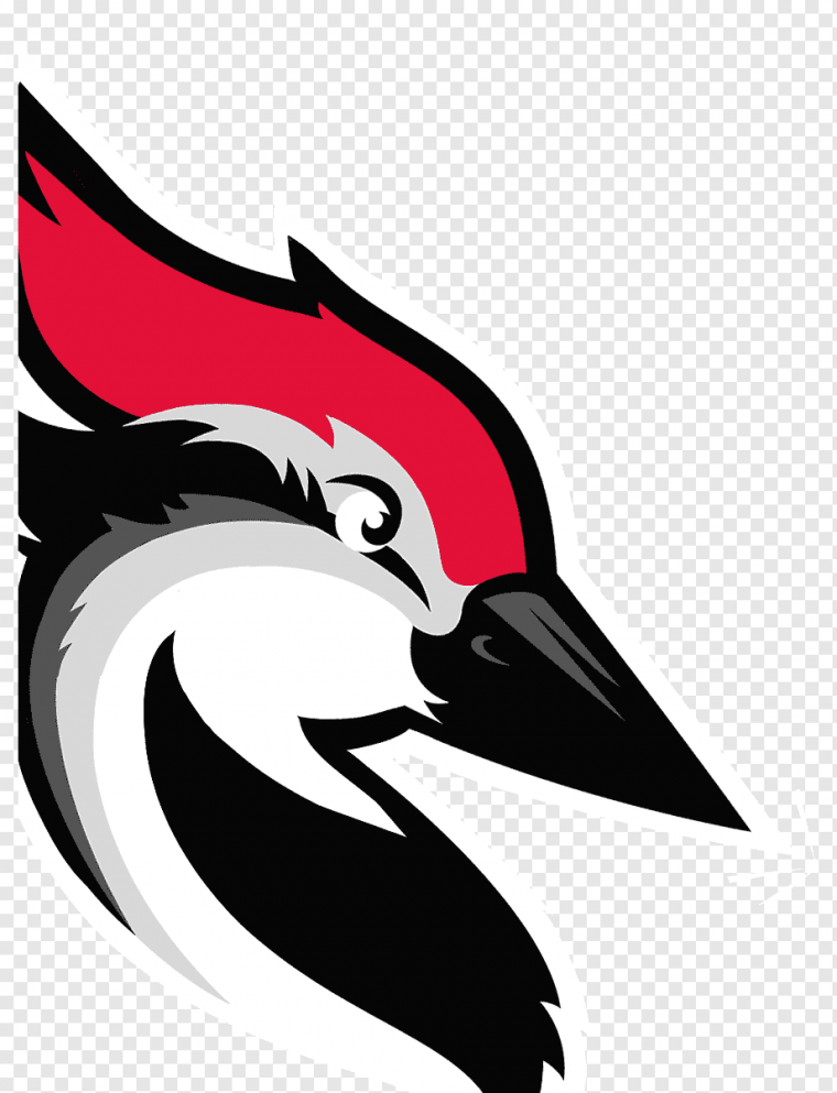 Дятел вектор