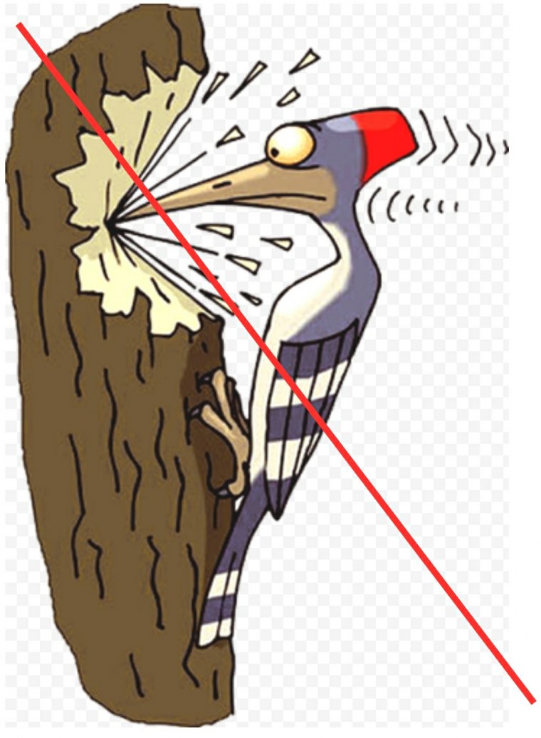 Дятел Вуди Вудпекер