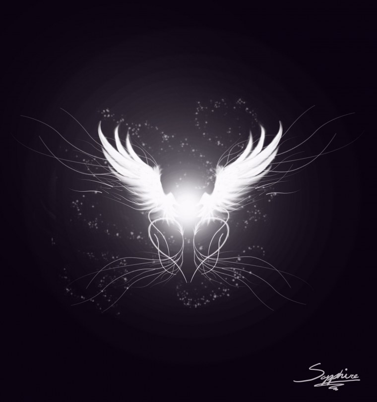 Крылья ангела на черном фоне