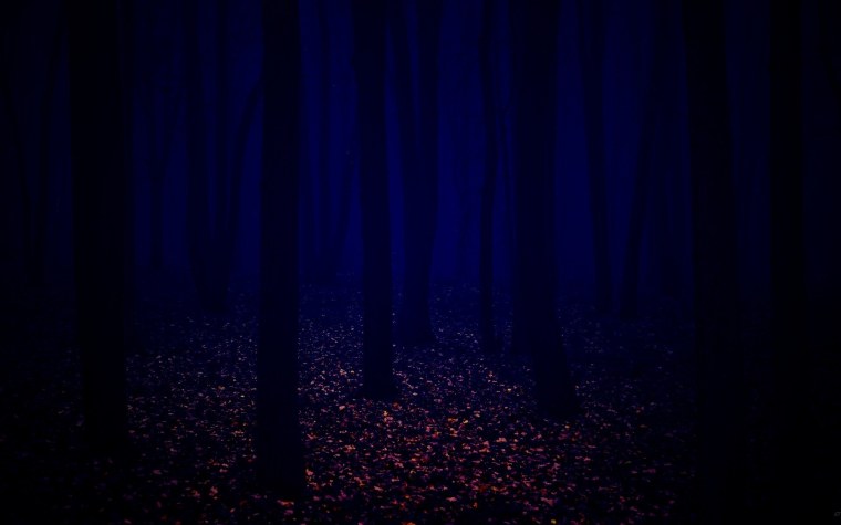 Темный лес HD