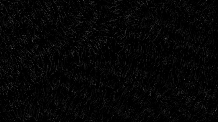 Дождь на черном фоне