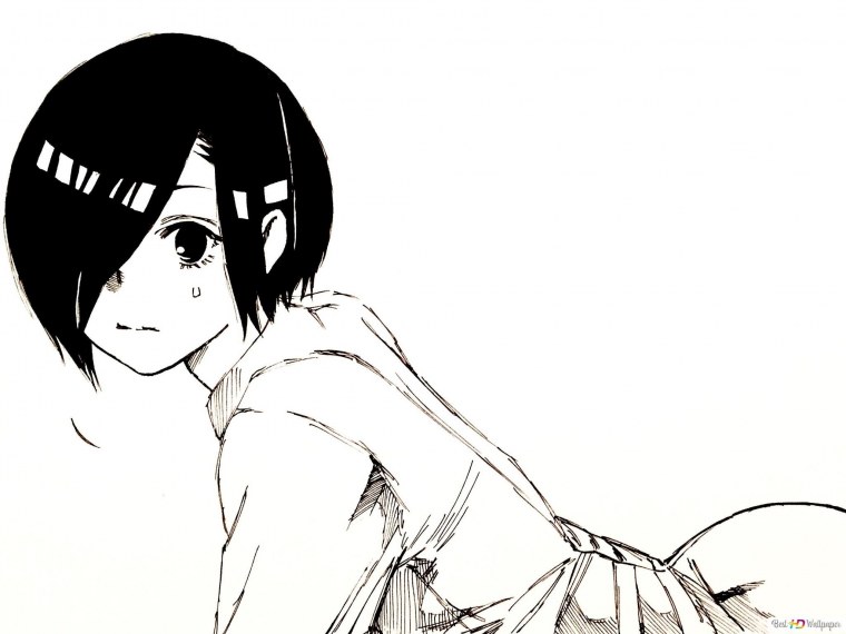 Токийский гуль Тоука