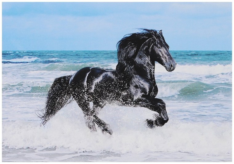 Лошадь бежит по морю