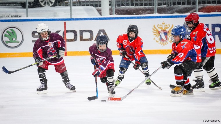 Шайба для хоккея