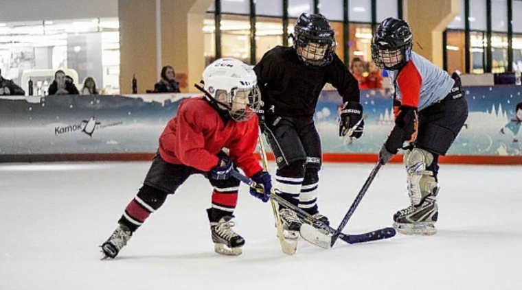 Школа хоккея для детей