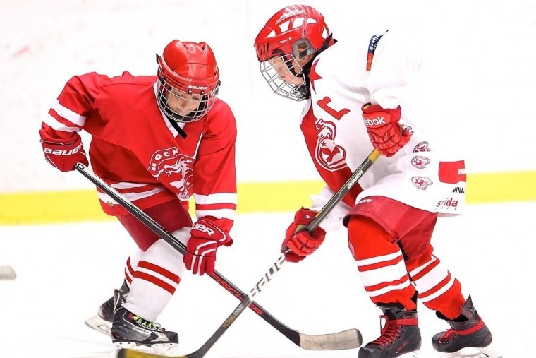 Шайба для хоккея