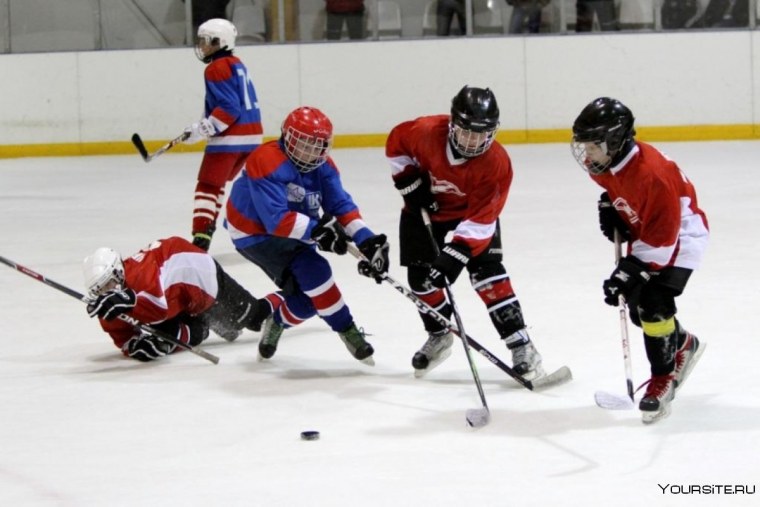 Валентин Родионов хоккеист