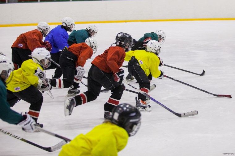 Тренировка по хоккею
