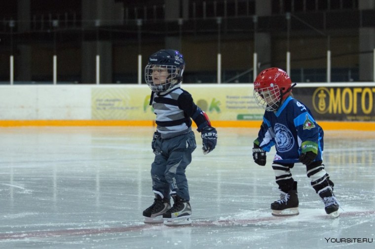 Хоккей для школьников