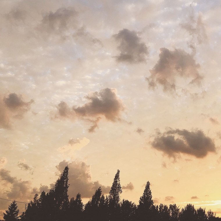 Эстетика бежевого природа