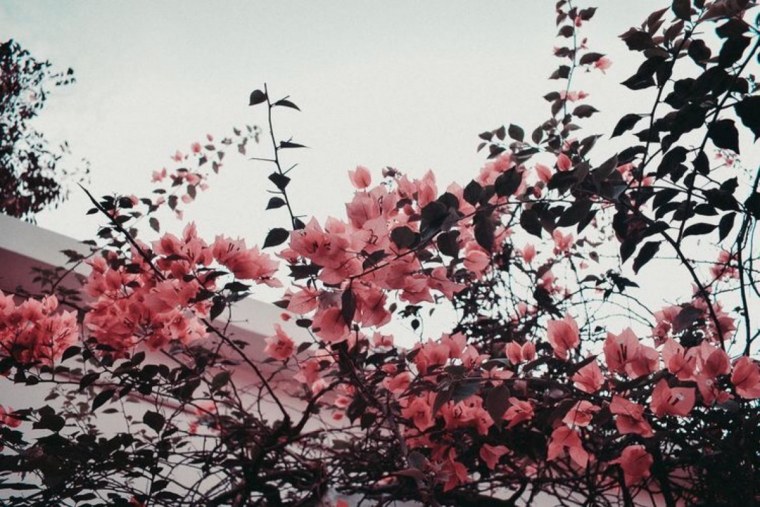 Эстетические фоны горизонтальные