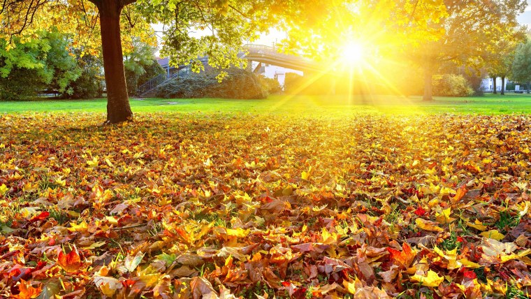 Солнечная осень