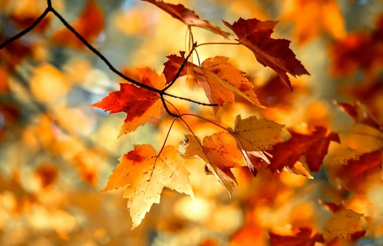 Осенняя природа