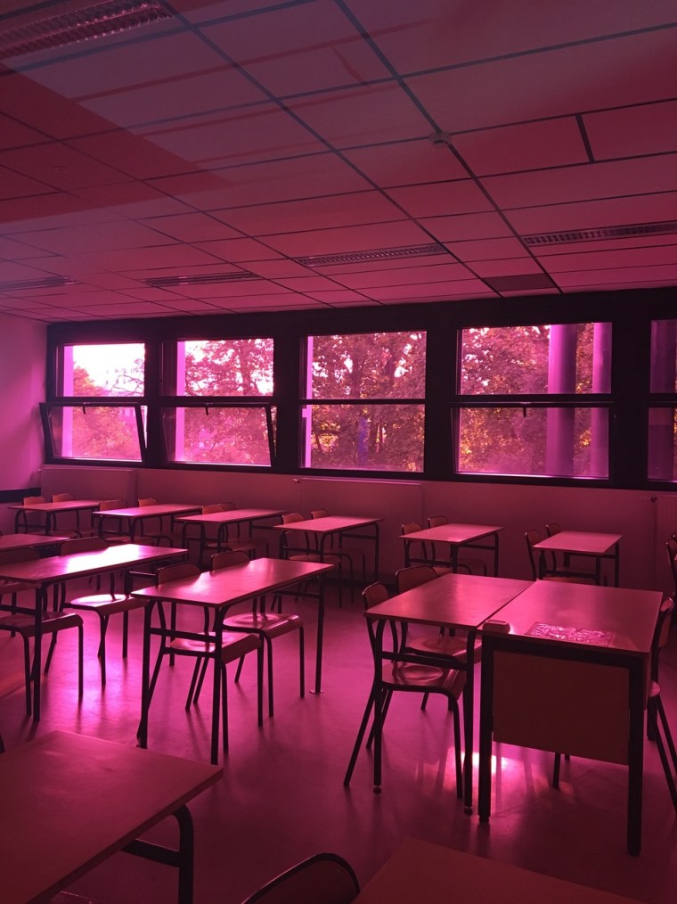 Американская школа Эстетика