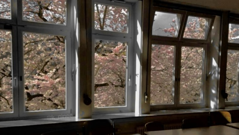 Школьный класс Эстетика