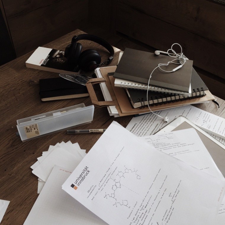 Учёба в университете Эстетика