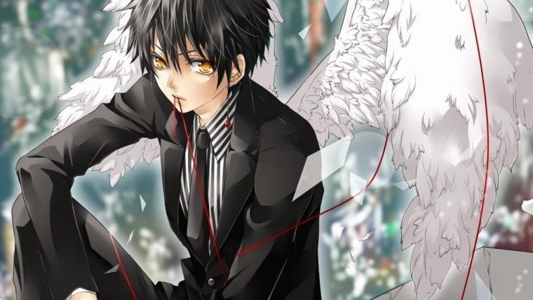 Чернокрылый Король аниме