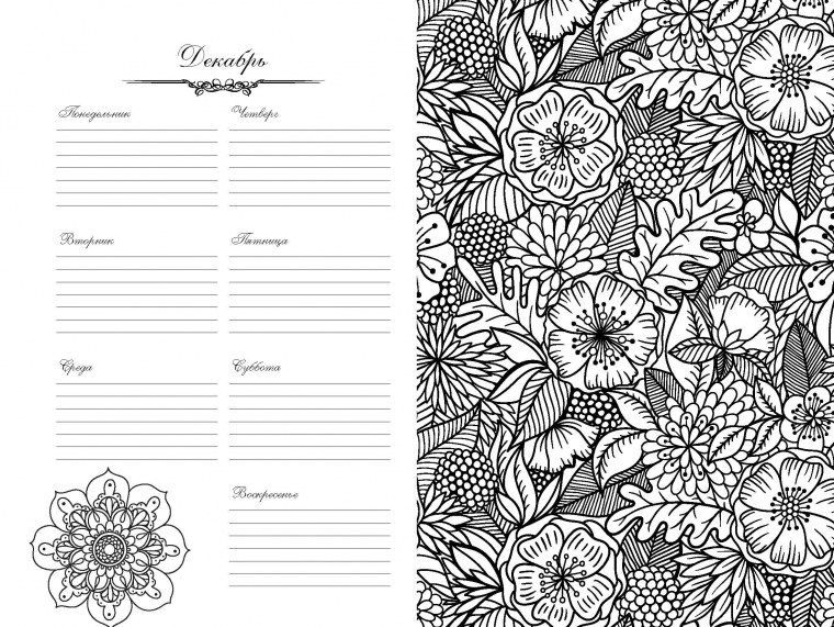 Раскраска тетрадь