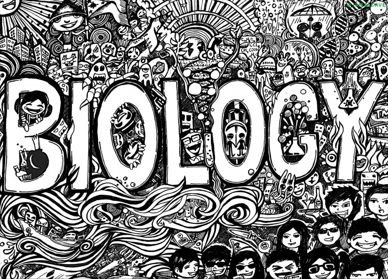 Обложки для тетрадей черно белые