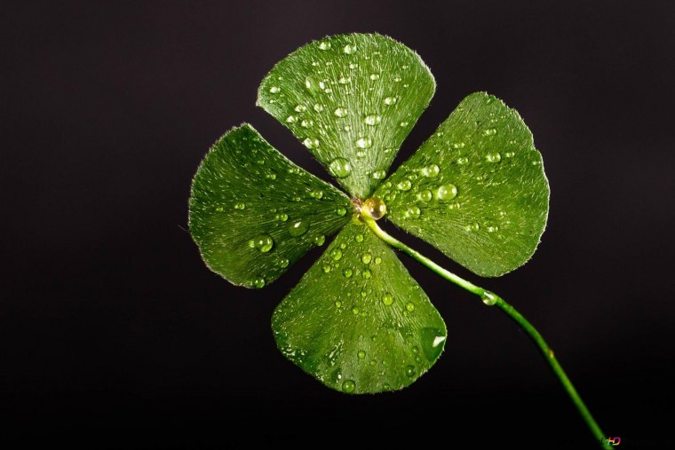 Обои на удачу