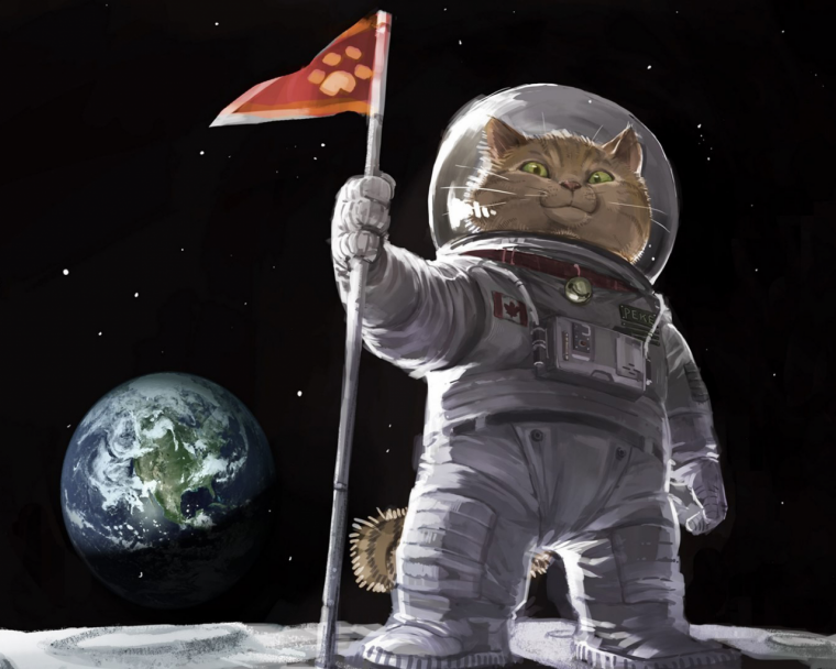Кот космонавт