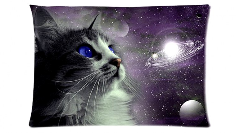 Кошка Вселенная